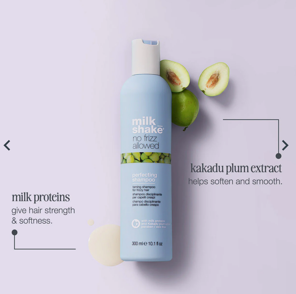 No Frizz Allowed Shampoo