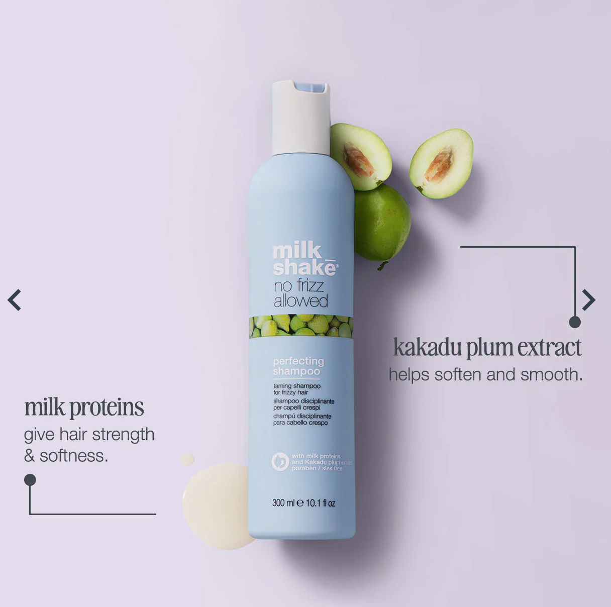 No Frizz Allowed Shampoo